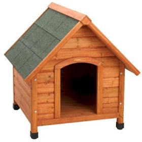 Premium Plus A (Option: Frame Dog House  Large)