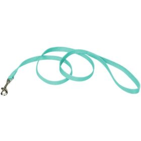 Coastal Pet Single (Option: ply Teal Nylon Dog Lead  4'L x 5/8"W)